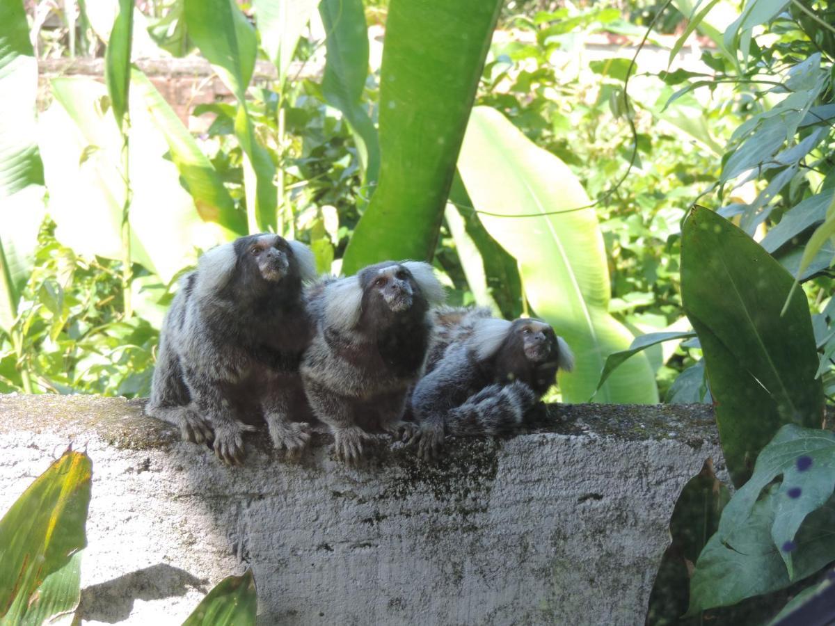 Pousada Tropicalia Araquari Kültér fotó